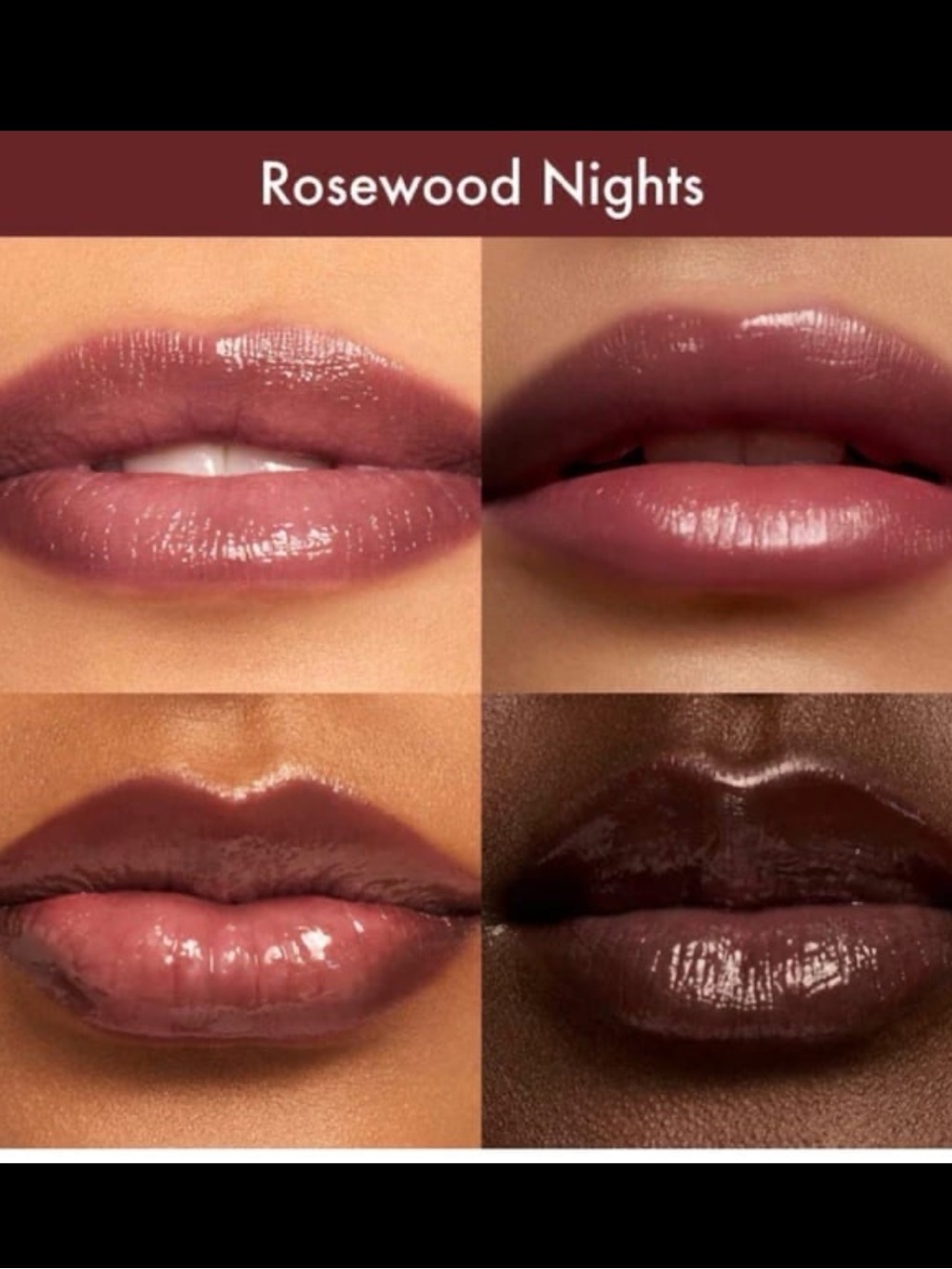 Summer Fridays Dream Lip Oil Lipgloss Tint in Rosewood Nights BNIB